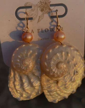 Pearled Abalone Earrings