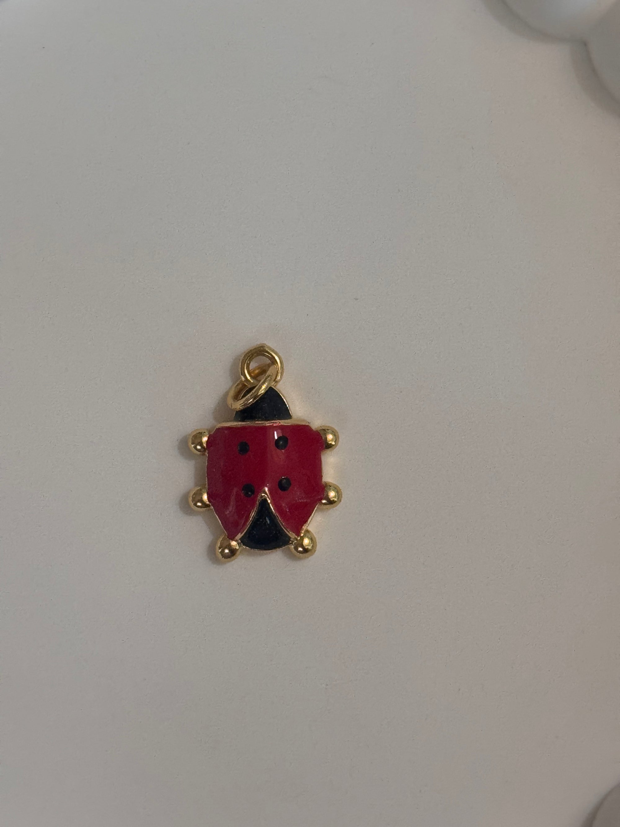 LADYBUG Charm