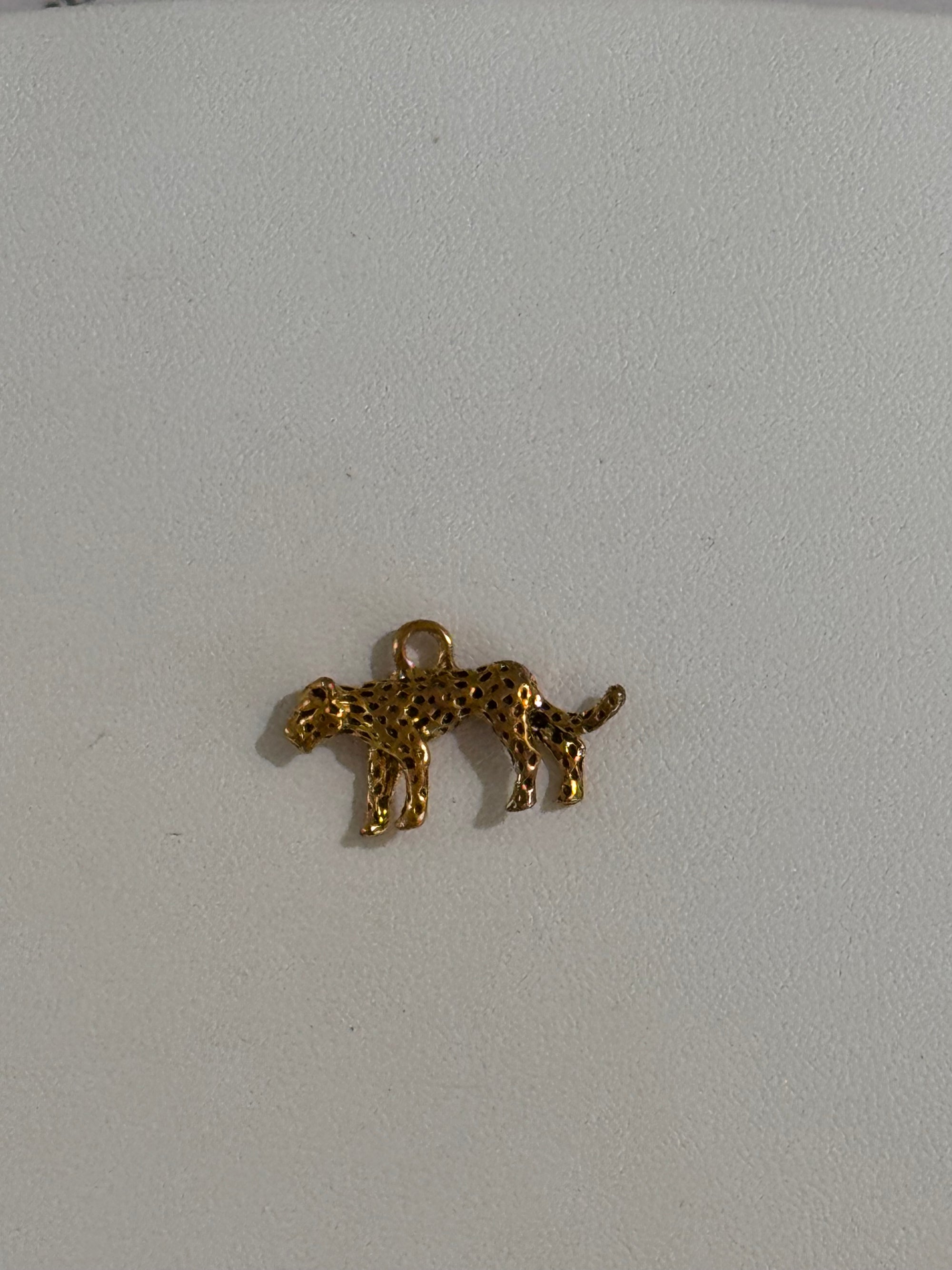 LEOPARD Charm