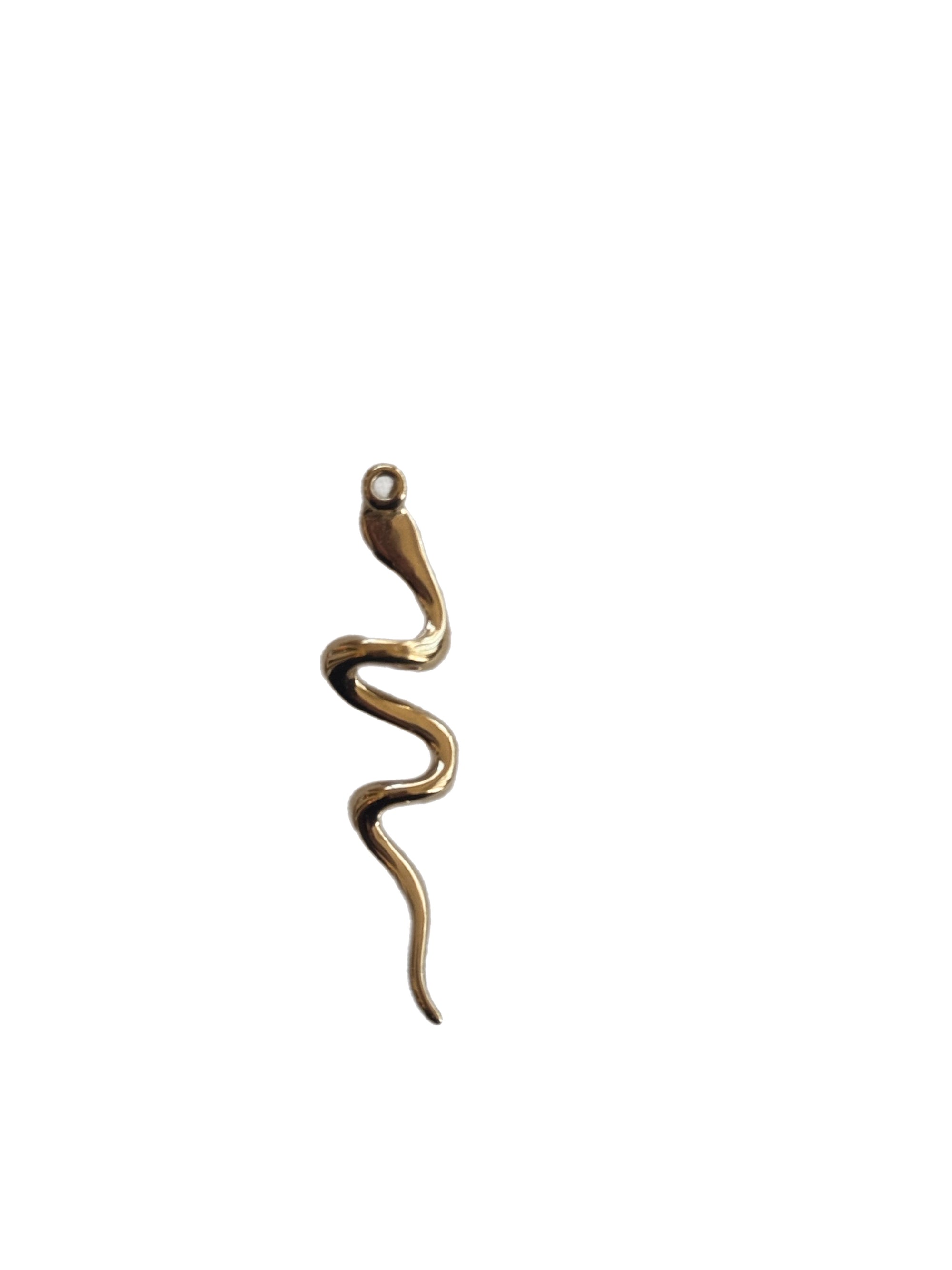 SNAKE CHARM