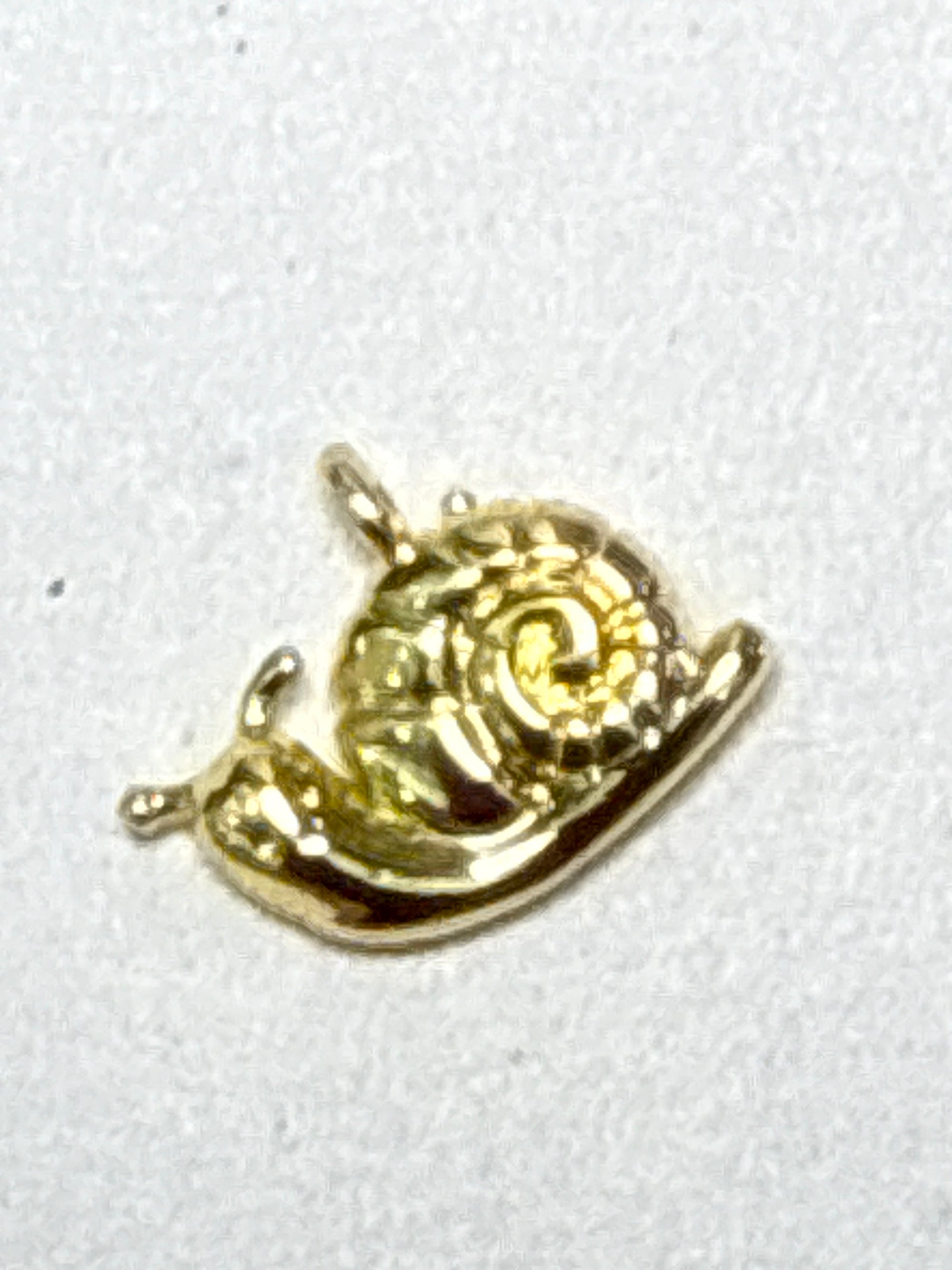 SNAIL CHARM