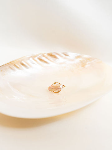 BIWA Ring