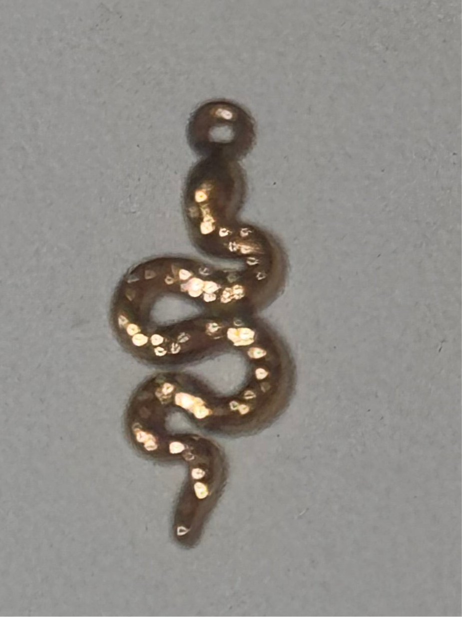 SNAKE (little) Charm