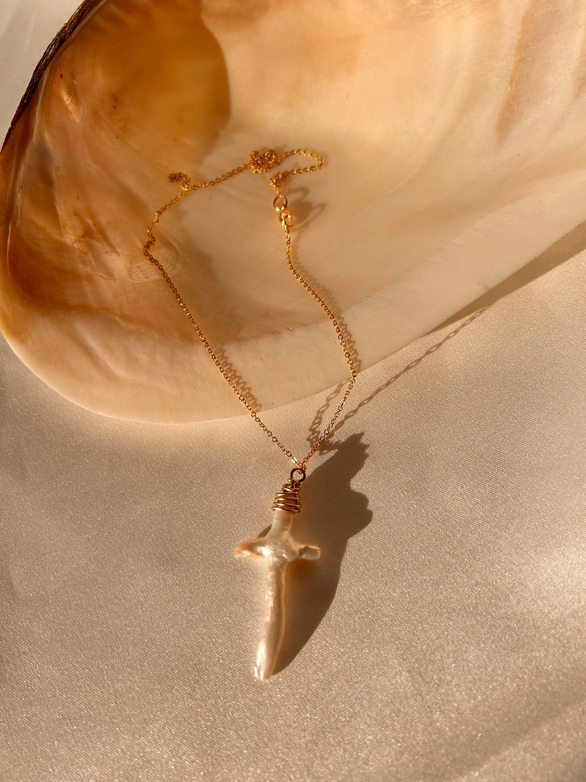 Collection Image