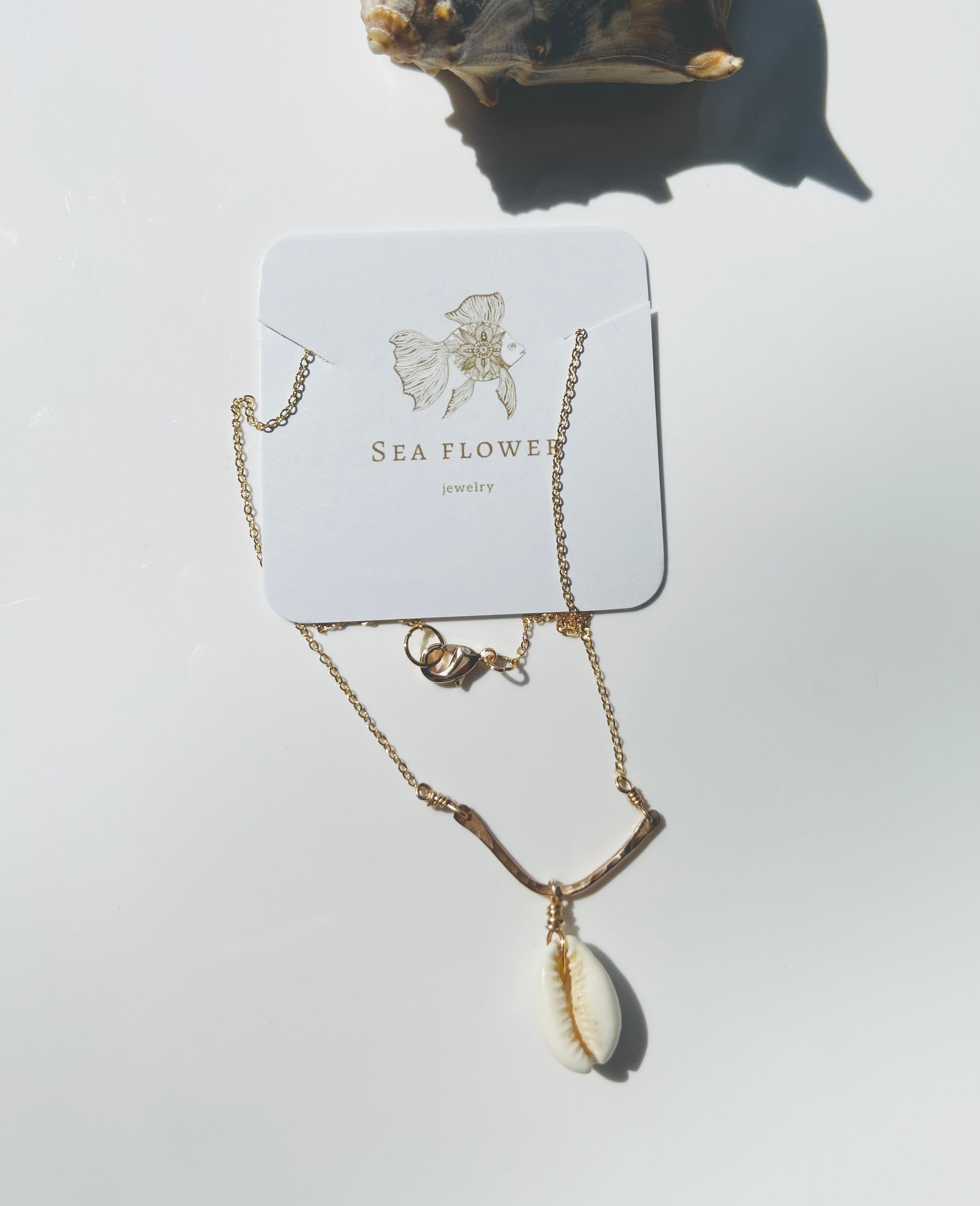 Golden Cowrie Shell