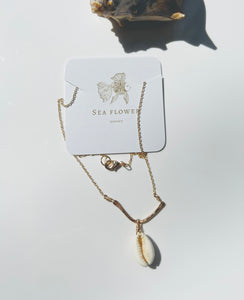 Golden Cowrie Shell