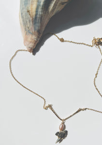 Shark Tooth  Gold Bar Necklace